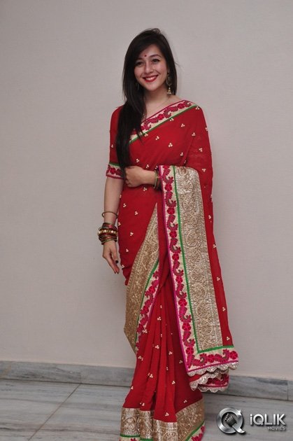 Celebs-at-Saheba-Subramanyam-Special-Show